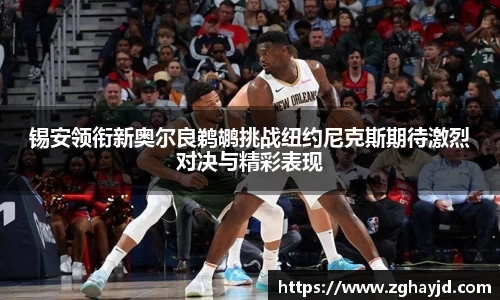 zoty中欧